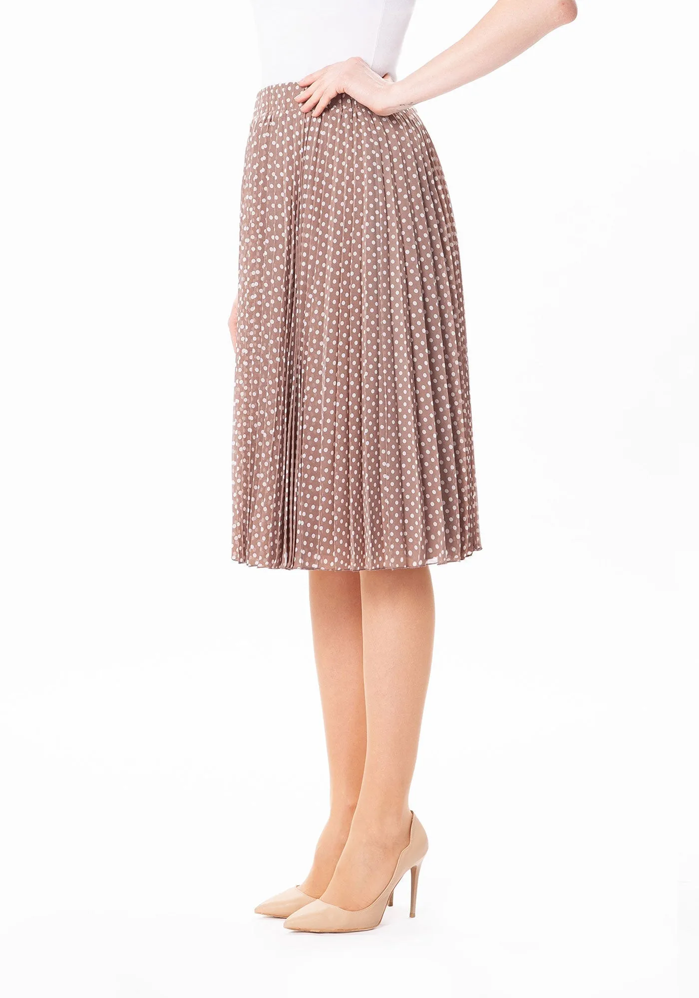 Chiffon Polka Dot Pattern Pleated Midi Skirt